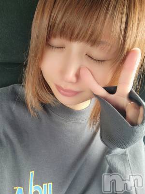 ĮХ顦֥ ץ ( ץ ) ǵʤߤ915̥֥💤