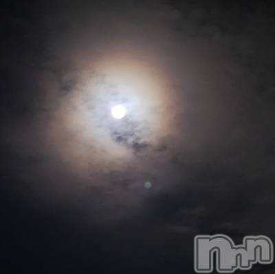 ĮХ顦֥ ץ ( ץ ) ǵʤߤ930̥֥🌙