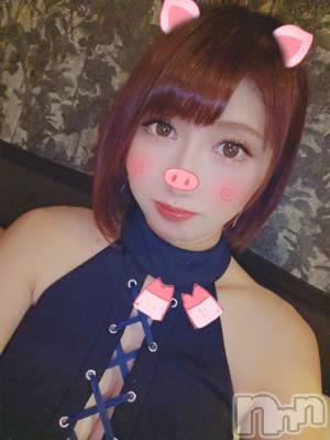 ĮХ顦֥ ץ ( ץ ) ǵʤߤ1228̥֥🐷