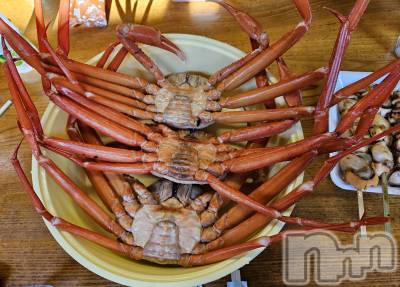 ĮХ顦֥ ץ ( ץ ) ǵʤߤ726̥֥🦀