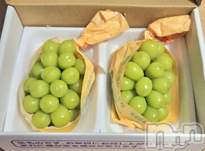 ĮХ顦֥ ץ ( ץ ) ǵʤߤ107̥֥🍇
