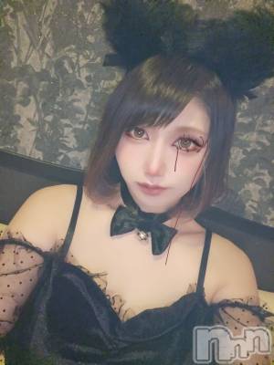 ĮХ顦֥ ץ ( ץ ) ǵʤߤ1025̥֥🐱