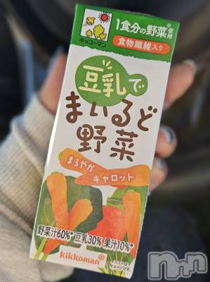 ĮХ顦֥ ץ ( ץ ) ǵʤߤ117̥֥🥕