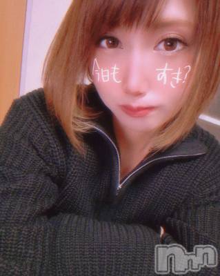 ĮХ顦֥ ץ ( ץ ) ǵʤߤ1216̥֥🥱
