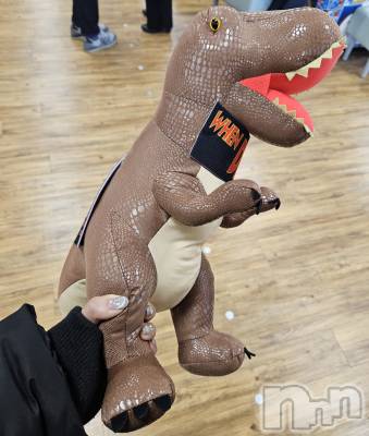 ĮХ顦֥ ץ ( ץ ) ǵʤߤ12̥֥🦖