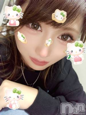 ĮХ顦֥ ץ ( ץ ) ǵʤߤ531̥֥🐱