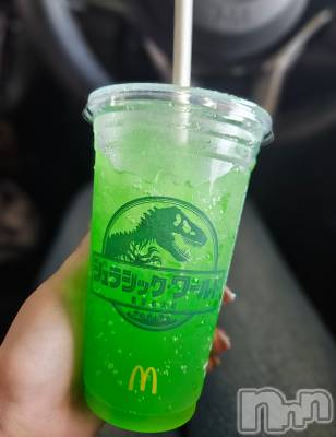 ĮХ顦֥ ץ ( ץ ) ǵʤߤ622̥֥🦖