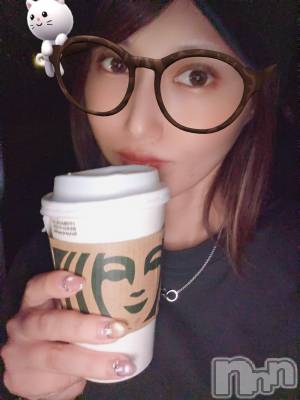 ĮХ顦֥ ץ ( ץ ) ǵʤߤ99̥֥👓