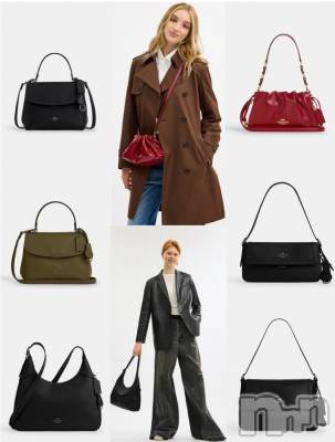 ĮХ顦֥ ץ ( ץ ) ǵʤߤ926̥֥👜