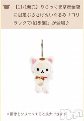 ĮХ顦֥ ץ ( ץ ) ǵʤߤ113̥֥🐱