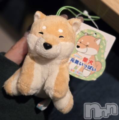 ĮХ顦֥ ץ ( ץ ) ǵʤߤ1124̥֥🐶