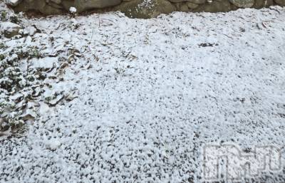 ĮХ顦֥ ץ ( ץ ) ǵʤߤ124̥֥☺️