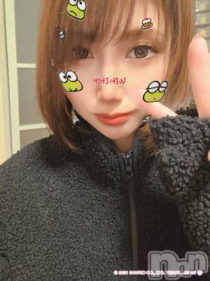 ��Į����Х��顦����֥���� �ץ���� ����(����� �ץ���� ������) ��ǵ���ʤߤ�12��12���̥�֥�����🐸��