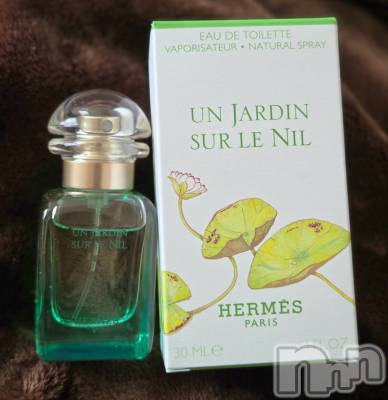 ��Į����Х��顦����֥���� �ץ���� ����(����� �ץ���� ������) ��ǵ���ʤߤ�12��31���̥�֥�����😀��