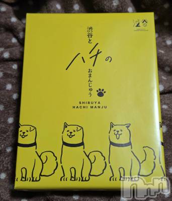 ��Į����Х��顦����֥���� �ץ���� ����(����� �ץ���� ������) ��ǵ���ʤߤ�1��7���̥�֥�����🐶��