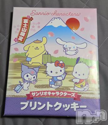 ��Į����Х��顦����֥���� �ץ���� ����(����� �ץ���� ������) ��ǵ���ʤߤ�2��2���̥�֥�����🗻��