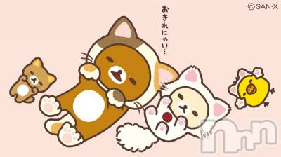 ��Į����Х��顦����֥���� �ץ���� ����(����� �ץ���� ������) ��ǵ���ʤߤ�2��22���̥�֥�����😌��