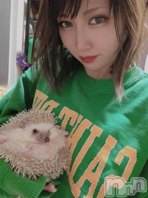 ��Į����Х��顦����֥���� �ץ���� ����(����� �ץ���� ������) ��ǵ���ʤߤ�2��26���̥�֥�����😆��