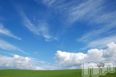 ��Į����Х��顦����֥���� �ץ���� ����(����� �ץ���� ������) ��ǵ���ʤߤ�3��4���̥�֥�����😮��