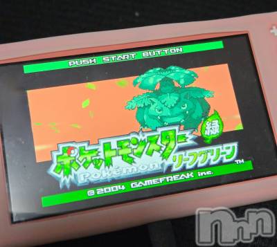 ��Į����Х��顦����֥���� �ץ���� ����(����� �ץ���� ������) ��ǵ���ʤߤ�3��4���̥�֥�����🌱‬‪��