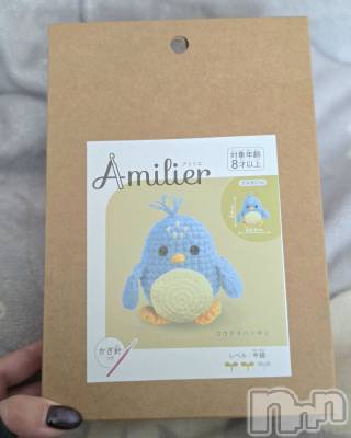 ��Į����Х��顦����֥���� �ץ���� ����(����� �ץ���� ������) ��ǵ���ʤߤ�3��6���̥�֥�����🐧��