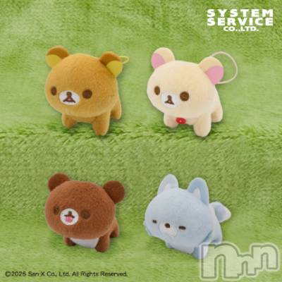 ��Į����Х��顦����֥���� �ץ���� ����(����� �ץ���� ������) ��ǵ���ʤߤ�3��8���̥�֥�����🤩��