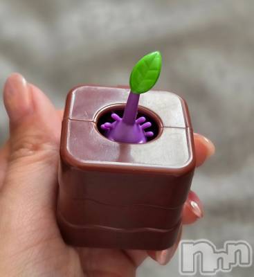 ��Į����Х��顦����֥���� �ץ���� ����(����� �ץ���� ������) ��ǵ���ʤߤ�3��22���̥�֥�����😁��