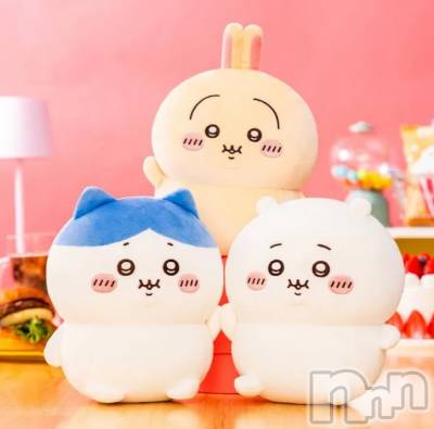 ��Į����Х��顦����֥���� �ץ���� ����(����� �ץ���� ������) ��ǵ���ʤߤ�3��26���̥�֥�����😌��