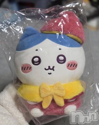 ��Į����Х��顦����֥���� �ץ���� ����(����� �ץ���� ������) ��ǵ���ʤߤ�4��2���̥�֥�����🤩��