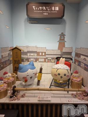 ��Į����Х��顦����֥���� �ץ���� ����(����� �ץ���� ������) ��ǵ���ʤߤ�4��2���̥�֥�����😅��