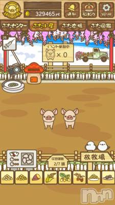 ��Į����Х��顦����֥���� �ץ���� ����(����� �ץ���� ������) ��ǵ���ʤߤ�4��7���̥�֥�����🐷��