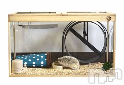 ��Į����Х��顦����֥���� �ץ���� ����(����� �ץ���� ������) ��ǵ���ʤߤ�4��10���̥�֥�����🤔��