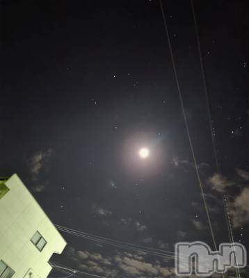 ��Į����Х��顦����֥���� �ץ���� ����(����� �ץ���� ������) ��ǵ���ʤߤ�10��5���̥�֥�����🌙🌃��