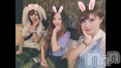 🐰
