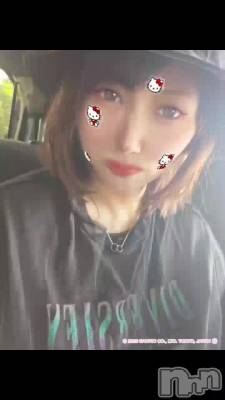 🐱