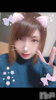 🐱