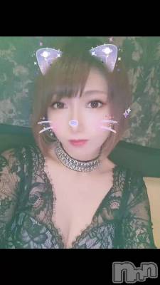 🐈