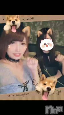 🐶