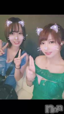 🐱