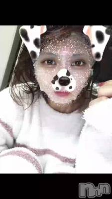 🐶