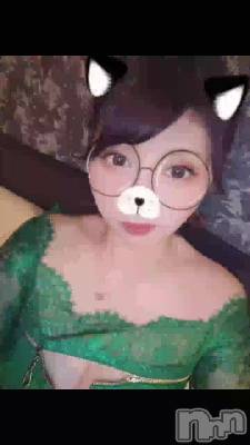 🐱