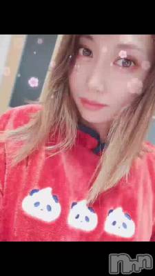 🐼