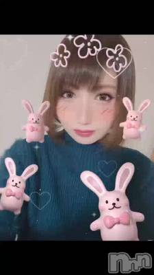 🐰