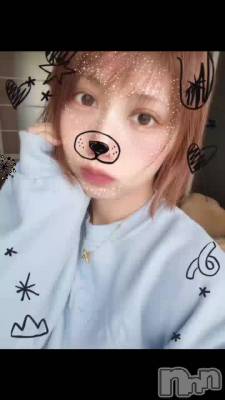 🐶