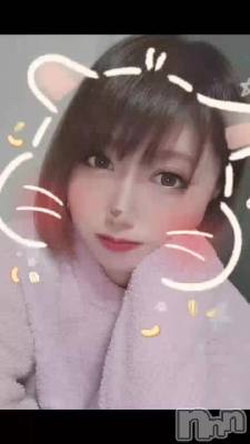 🐰