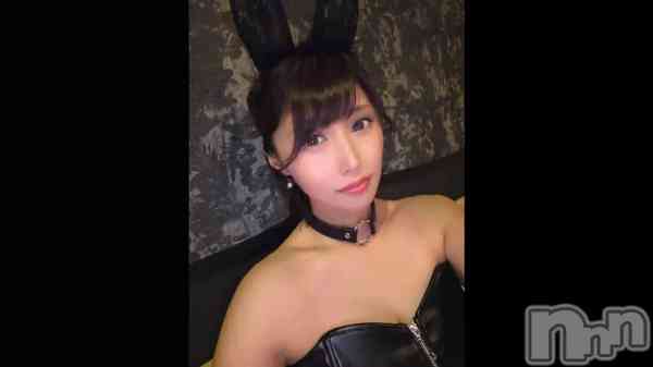 ��🐰��