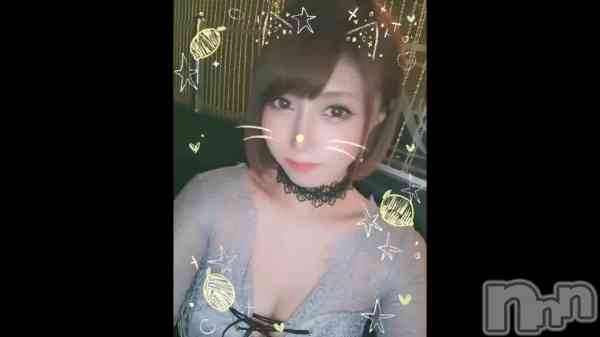 &#x1F431;