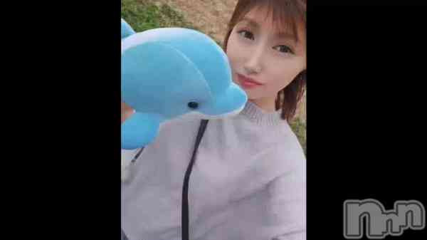 &#x1F42C;