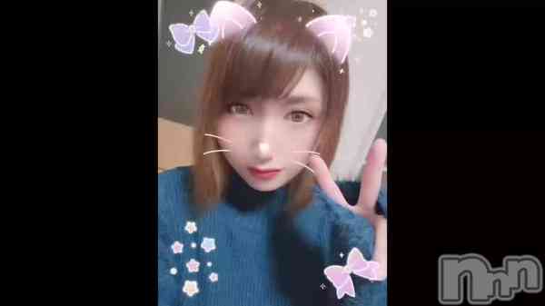 &#x1F431;