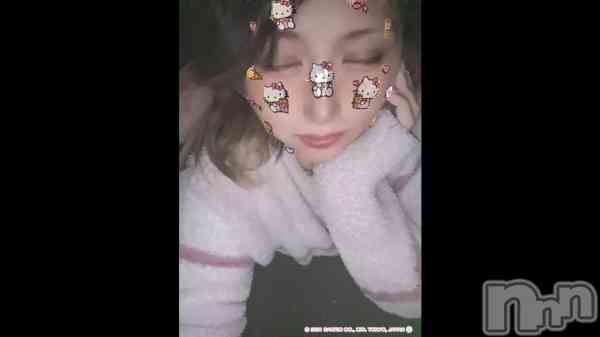 &#x1F431;
